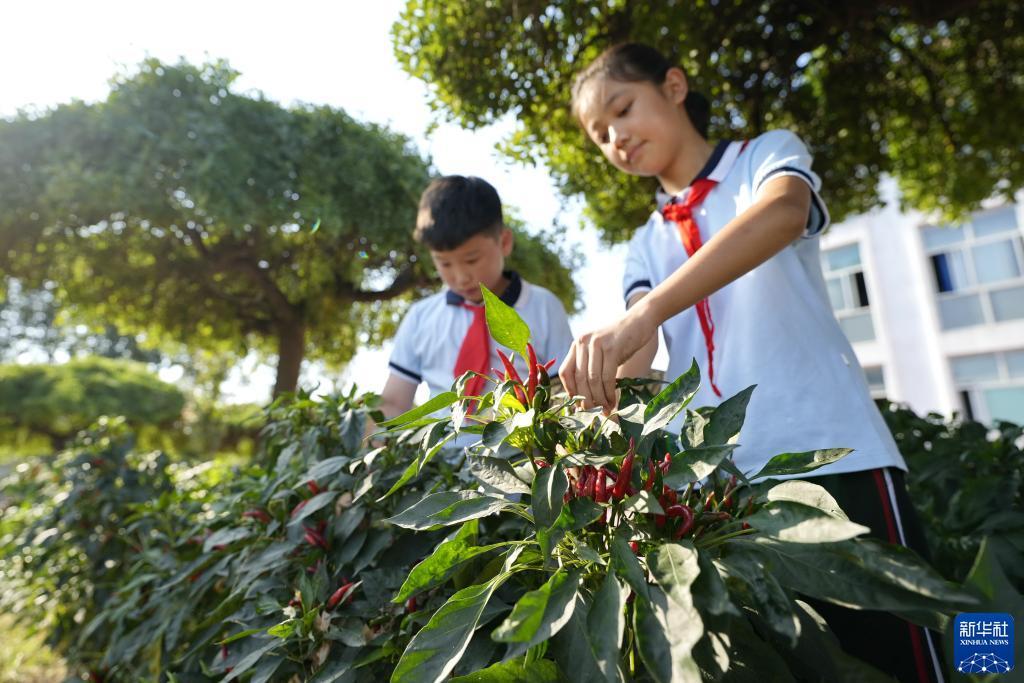 bb电子糖果派试玩网站